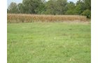Property photo 5 - 133+/- Acres Offered in 4 Tracts - Farmland, Hunting & Recreation or Future Building Sites